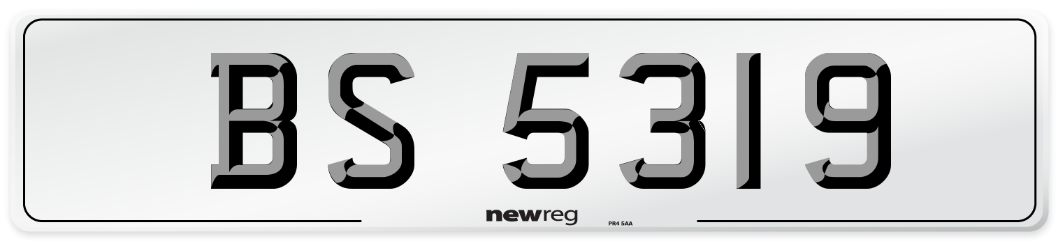BS 5319 Number Plate from New Reg
